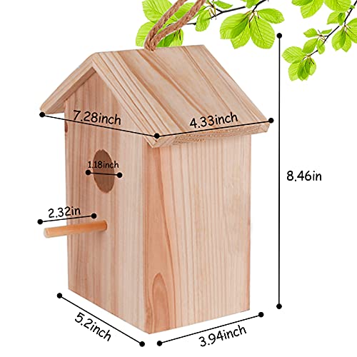 Edudif Wooden Window Bird House With Suction Cup And Lanyard Hanging Diy Bird House For Kids Outdoor Bird Nest Transparent Design For Easy Observation #TOP4
