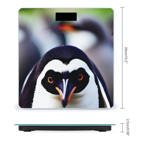 Báscula Digital Cuero con Cabeza de Pingüino, Vidrio Templado miniatura 2