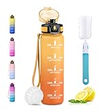 JAPORIA Borraccia 500ml, Bottiglia Acqua con Marcatori Temporali, a Prova di Perdite, Borraccia con Filtro, senza BPA, Bottiglia Acqua per Scuola, Studenti, Ufficio, Palestra