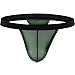 Summer Code Mens Sheer Mesh Thong T-Back Sexy See Through Underwear