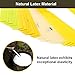23pcs Slingshot Replacement Band Sets Flat Elastic Latex Material, 0.4-0.85mm Thickness for Outdoor Catapult Shooting Professional Hunting (0.45mm, Length 240mm)
