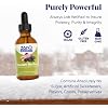 Zand Insure Immune Support | Herbal Liquid Echinacea Supplement | Features Elderberry, Chamomile, Ginger & Valerian | 4 oz