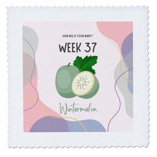 3dRose Image of Wintermelon How Big is Your Baby Week 37 - Quilt Squares (qs-388489-5)