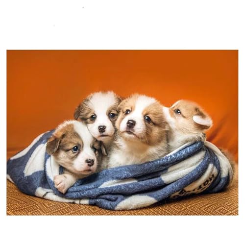 Peinture diamant chiot mignon 5D à offrir en kit de broderie complet 80x100cm