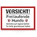 Produktbild Komma Security Vorsicht freilaufende Hunde - Hunde Schild Hinweisschild Gartentor Gartenzaun - Türschild Haustüre Warnschild Abschreckung Einbruchschutz - Tor geschlossen halten