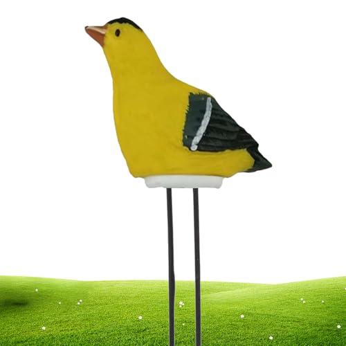y됅v, ^vgZT[, K[ffR[V CeWFgAxv _ 뉀 Ő EO  _ ~ A ƒ