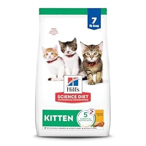 Hill’s Science Diet Kitten Dry Cat Food, Chicken Recipe, 7 lb Bag