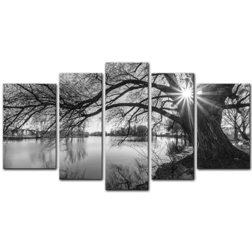 Lever de soleil devant un arbre et un lac : illuminez vos murs sombres