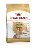 alter terrier ROYAL CANIN Yorkshire Terrier Adult 8+ ist für Yorkshire Terrier ab dem 8. Lebensjahr geeignet und wurde speziell zur Unterstützung eines gesunden Alterungsprozesses von Yorkshire Terriern entwickelt. Ein spezieller Antioxidanzienkomplex kann dabei helfen, die Zellen zu schützen
