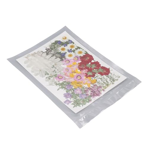 Flores Secas Prensadas, Conjunto de Amostras de Plantas Fáceis de Usar 100 Peças Versáteis para Pres