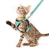 Caractéristiques de sécurité améliorées : cet ensemble harnais et laisse est équipé de bandes réfléchissantes qui assurent une visibilité maximale lors des aventures de votre chat. L'anneau en D robuste offre un maintien fiable et empêche la rupture même en cas de poursuite rapide, de sorte que votre animal de compagnie est en sécurité pendant longtemps.