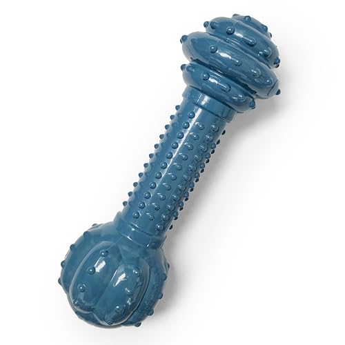 Nylabone Love Our Oceans Textured Barbell Power Chew Toy