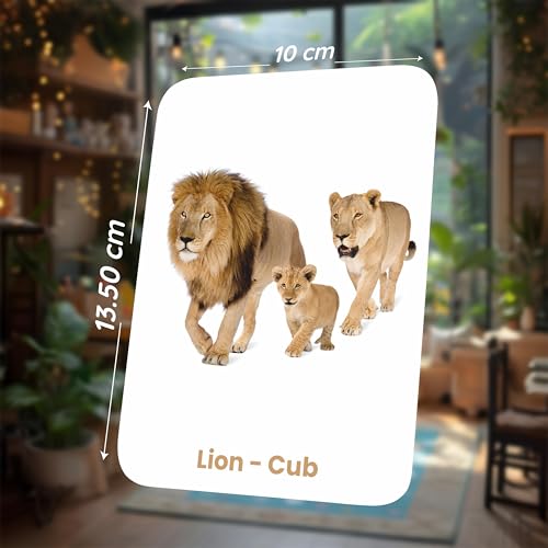 Image of SPARTAN KIDS Animals & Their Babies Flash Cards for Kids | 27 Early Learning Language Skills Flash Cards Easy & Fun Way of Learning 1 Year to 6 Years Babies