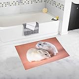 Esponjas y telas no tejidas YXUAOQ Pareja Divertidos Roedores Decorativos Hamsters Alfombra de baño Antideslizante Personalizada Alfombra de baño Alfombra de Piso Alfombra para baño 20 X 32 Pulgadas
