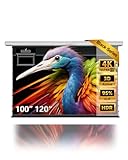 NothingProjector Projector Screen...image