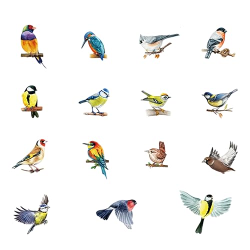 Dcsfadq 15 Stücke Fensteraufkleber Vögel Bunt Elster Fenster Abziehbilder Sommer Fenstersticker Vogelschutz Anti-Kollision Fensterbilder für Kühlschrank Fenster Badezimmer Wohnzimmer