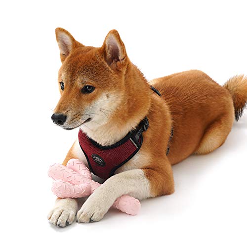 Image of MewaJump Dog Chew Toys, Tough Rubber Dog Toys for Aggressive Chewers