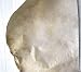 Replacement Skin Head Parchment for Sarangi Dilruba Israj Taus, Premium Quality