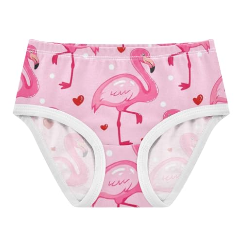 Cotton Girls Underwear Toddler Cute Flamingos Pink Cute Panties Girl Flower Briefs Kids Undies 2t