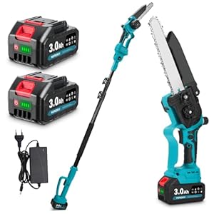 Yofidra 2-in-1 Akku Hochentaster & Mini-Kettensäge, Bürstenlose 8 Zoll-Elektrokettensäge mit 2 x 3000-mAh Akkus, Teleskop Kettensäge mit Verlängerungsstange bis zu 4,2M für Baum, Heckenschneiden