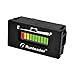 Runleader Indicateur de jauge de Carburant de Batterie LED 12V à 48V, état de Charge et de décharge de la Batterie pour Chariot élévateur à Fourche pour Voiture de Club. (RL-BI029-48V)