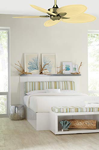 Fanimation Windpointe - 22 Inch - Antique Brass With Natural Palm Narrow Oval Blades With Pull-Chain - Fp7500Ab #TOP3