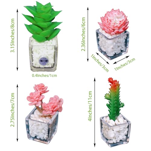 Imanes Decorativos de Plantas Suculentas MIUPOO Set de 4 miniatura 2