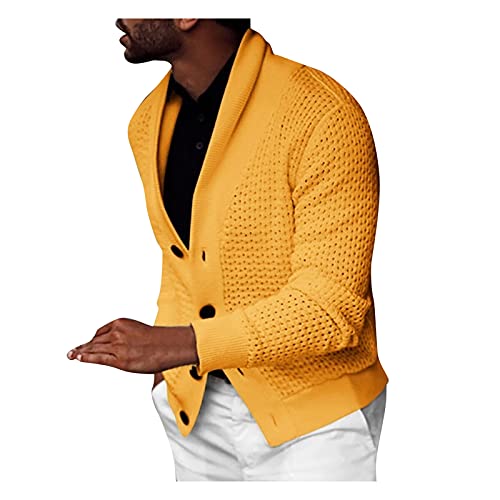 wdcv Men's Sweater Button Up Long Sleeve Blouse Autumn Winter