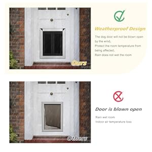 Aluminum Giant Canine Door for Exterior Doorwith Robust Double Magnetic Flaps Double Slidein Panel  4 Safety Locks As Much As 70lbsmedium Matte Silver  Cucciolini Doodles Aluminum giant canine door for exterior doorwith robust double magnetic flaps double slide in panel  4 safety locks as much as 70lbsmedium matte silver   cucciolini doodles