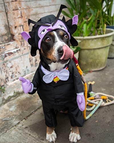 Disfraz The Count Vampiro para Perro Mediano miniatura 3
