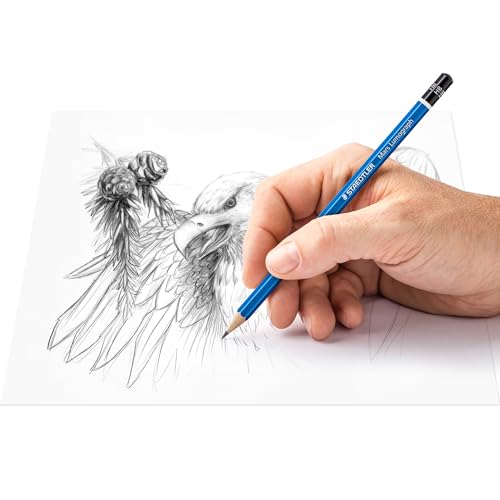 Image of STAEDTLER Mars Lumograph Art Drawing Pencils - Sustainable,Break-Resistant Graphite,Metal Case,12 Count (Pack of 2)