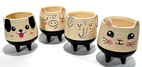 Kit 4 Vasos Cachepot Bichos Suculentas 75104