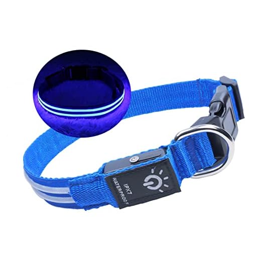 Meloive Collares Luminosos para Perros, Collar LED, Recargable por USB, 100% Resistente Al Agua, Que Brilla En La Oscuridad con 3 Modos De Iluminación para Perros Medianos (M, 40-50cm-Cuello) Azul
