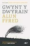 gwynt skellige  Gwynt y Dwyrain (Welsh Edition)