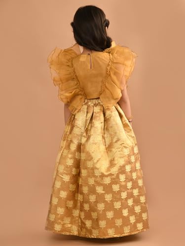 Image of Lilpicks Ruffle Sleeveless Blouse with Brocade Flared Lehenga Set for Girls (Pink)