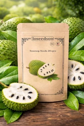 Soursop Seeds 20+ for Planting Non-GMO Graviola Guanabana Seeds for Indoor & Outdoor Growing Tropical Fruit Tree Seeds High Germination loseedsoo