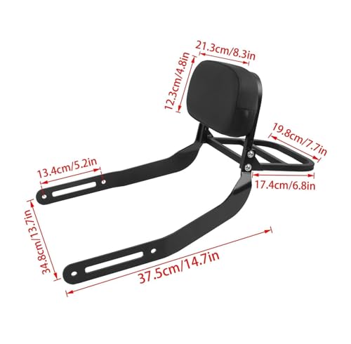Porte-bagages moto en acier robuste avec sissy bar Eliminator