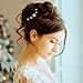 Juinte 48 Pieces 5 Sizes Pearl Hair Pins Bridal Wedding White Rhinestone Pearl Bobby Pins Bulk U Shape Bridal Clips Hair Accessories for Wedding Brides Bridesmaid Women Hairstyles Decor