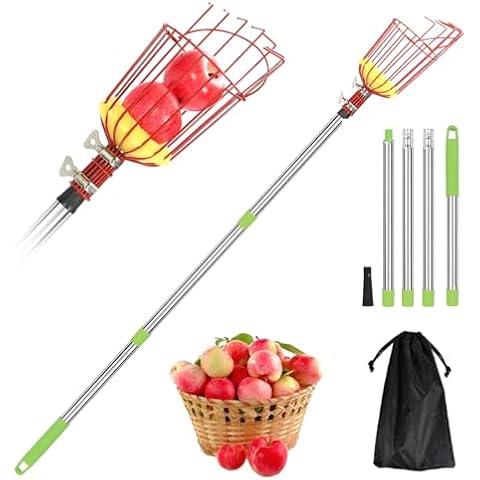 joyhalo Fruit Picker Polel with Basket, 5.5 Ft Apple Picker with Adjustable Stainless Steel Handle, Fruit Picking Basket for Getting Fruits Lemons Apples Guavas Avocados Pears Mangoes Oranges Cover