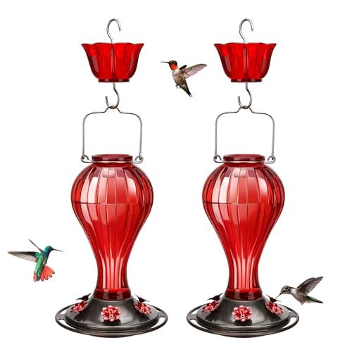 Kingsyard 2 Pack Glass Hummingbird Feeder 24 Ounces, 6 Feeding Ports, Hanging Bird Nectar Feeder for Outdoors Garden Yard Décor, Ant Moat Included, Red