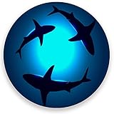 visesunny g21023947p294c331s567