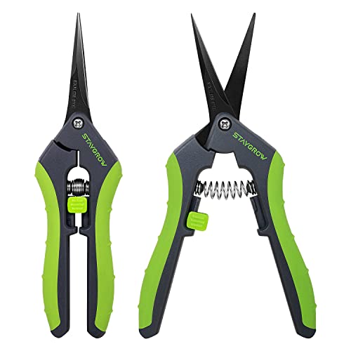 Staygrow 2Pcs 6.5" Pruning Shears For Gardening, Ultra Sharp Garden Scissors For Precise Cuts, Stainless Steel Bonsai Clippers With Spring Loaded, 6.5 Inch Garden Shears (1Pc Straight & 1Pc Curved) #TOP24