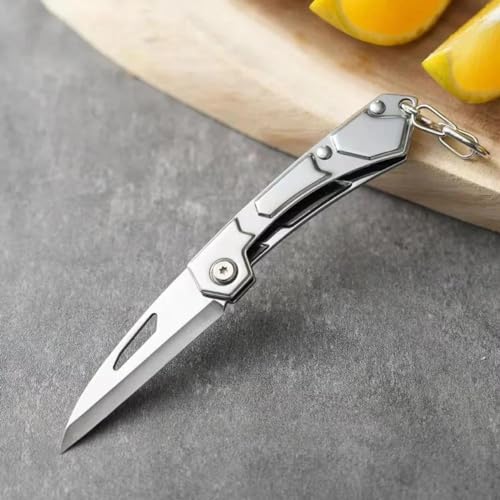 Canivete de Bolso Kaizen, Lâmina de Aço Inoxidável, para Acampamento, Caça e Pesca (Prata)