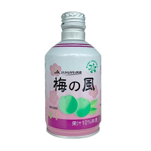 JAかながわ西湘山北支店 [定期便・全3回]梅の風(清涼飲料水) 290ml×24本×3回