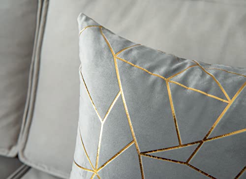 Yongliu Pack Of 2 Soft Velvet Lumbar Throw Pillow Covers Decorative Gold Foil Geometric Pattern Cute Cushion Case For, Couch Living Room Sofa Bedroom Car (Grey And Gold, 12“X20”) #TOP6