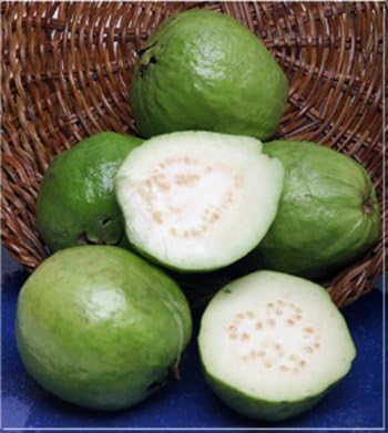 India Bazaar Fresh Guavas (3 Lbs.)