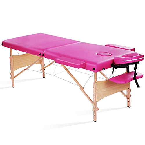 Massage Table Portable Massage Bed Professional SPA Bed Lash Bed Facial Bed Height Adjustable with Carrying Bag 2 Section