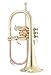 John Packer JP175 Bb Flugel Horn