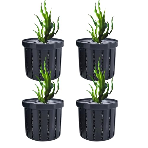 Soporte para Plantas de Acuario | Cesta Estable para Plantas de Pecera | 4 Piezas Soportes para Plantación Acuática, Decoración Acuática para Apartamentos Hoteles Restaurantes Residencias