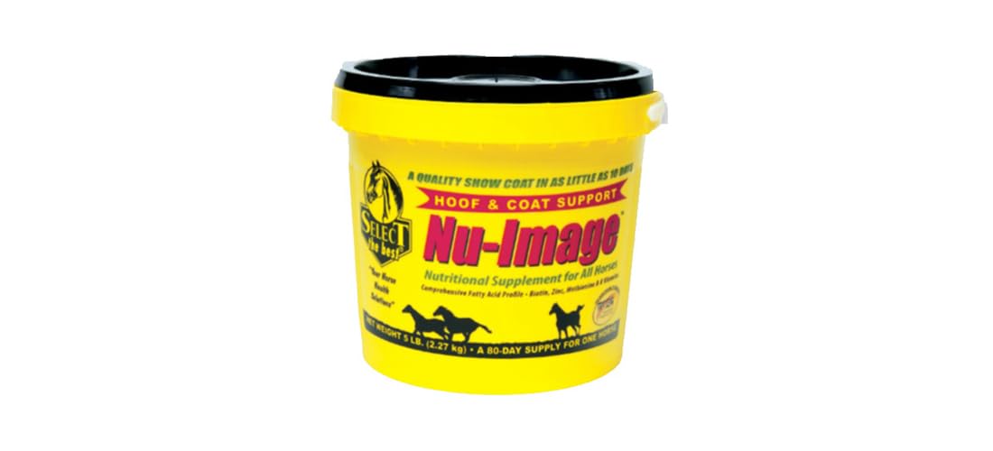 NU-Image - Soporte para casco y abrigo para caballos
